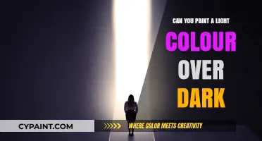 Transforming Spaces: The Art of Painting Light Over Dark