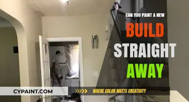 Fresh Foundations: Painting Your New Build Right Away