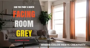 Brightening Shadows: The Art of Painting North-Facing Rooms Grey