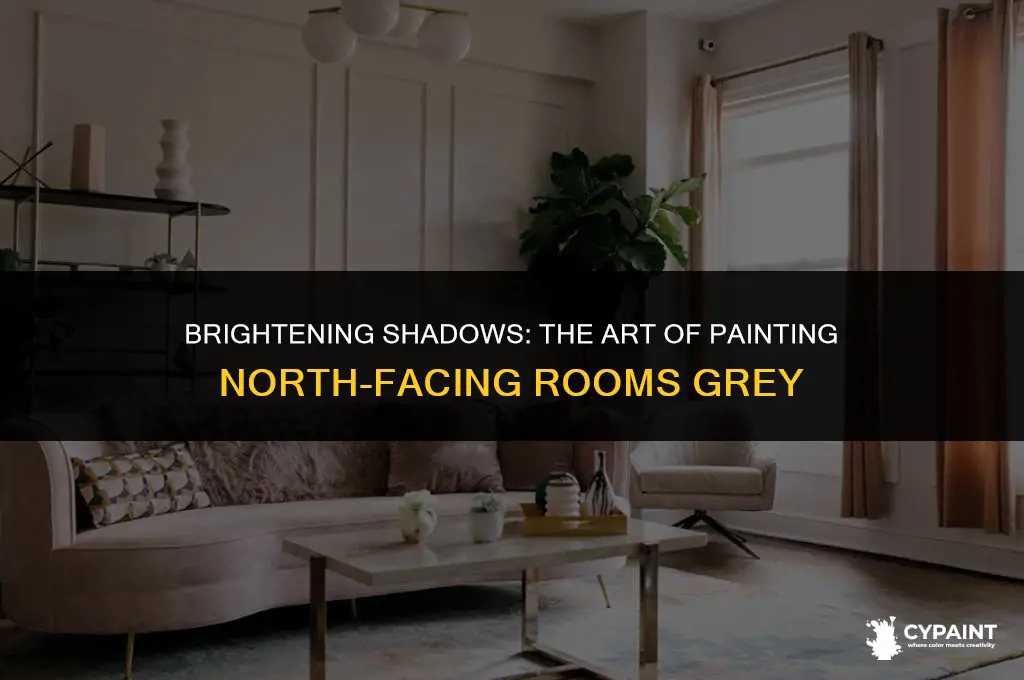 can you paint a north facing room grey