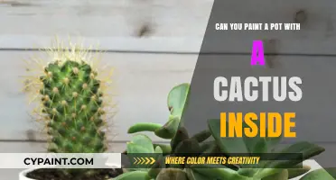How to Paint a Potted Cactus Without Harming It