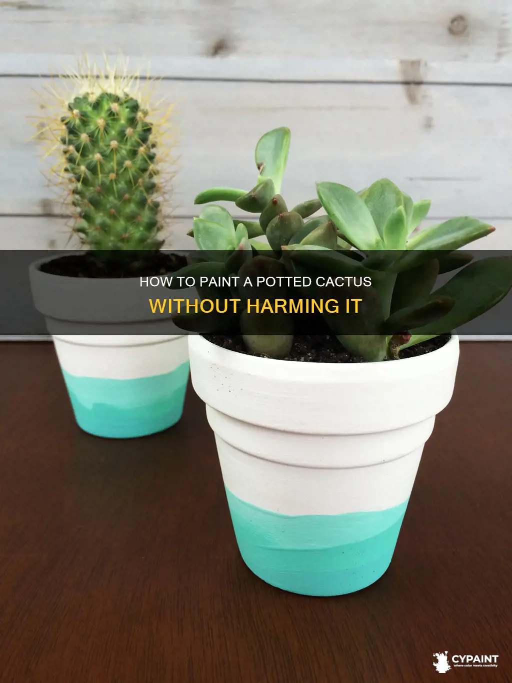 can you paint a pot with a cactus inside