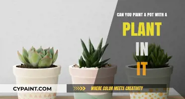 Painting Pots with Plants Inside: Tips and Tricks for Success