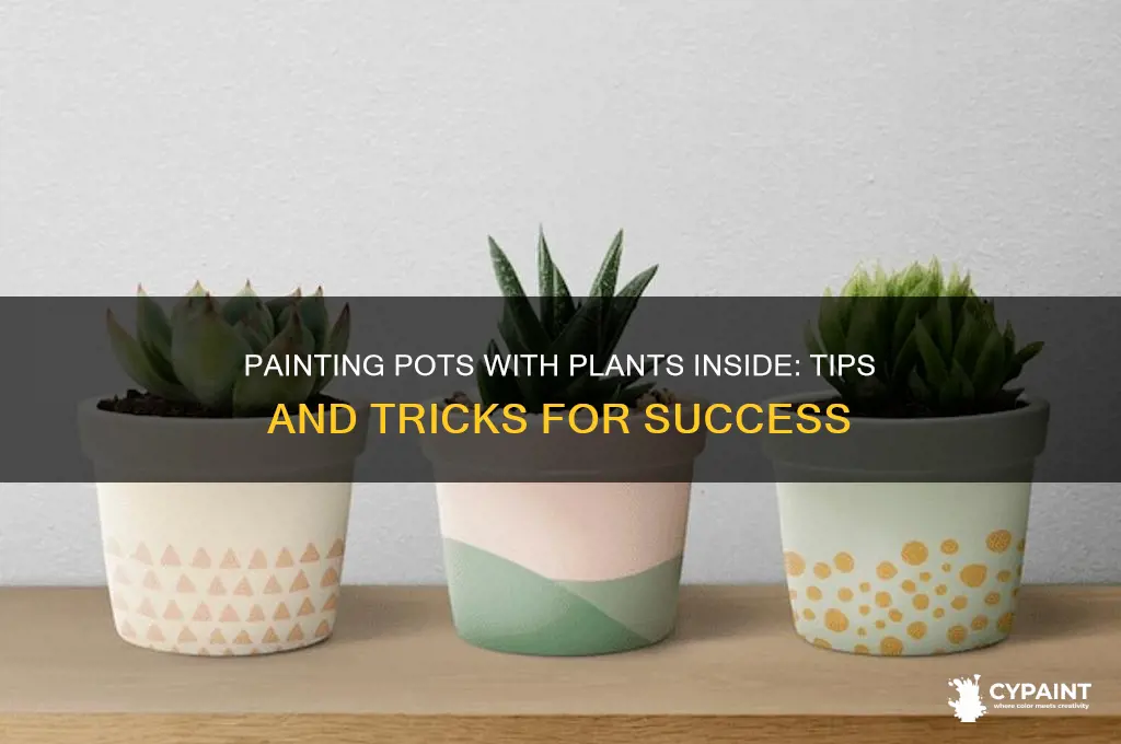 can you paint a pot with a plant in it