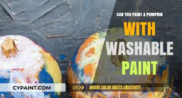 Exploring Washable Paint Options for Your Pumpkin Art Project
