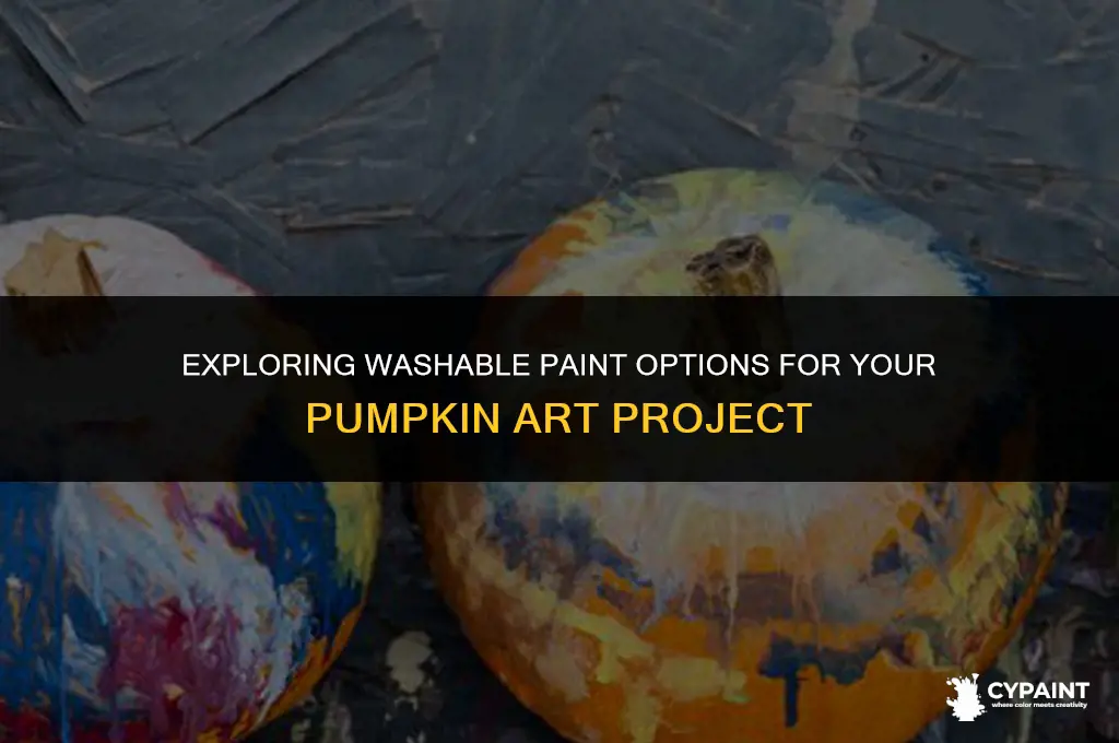 can you paint a pumpkin with washable paint