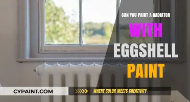 Revamping Your Radiator: The Eggshell Paint Solution