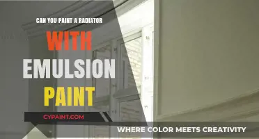 Revamp Your Radiator: The Emulsion Paint Solution