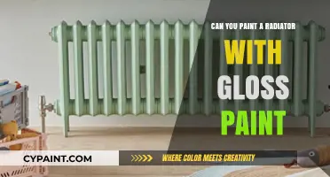 Revamping Your Radiator: The Glossy Finish Debate