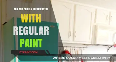 Revamping Your Kitchen: Can You Paint a Refrigerator with Regular Paint?