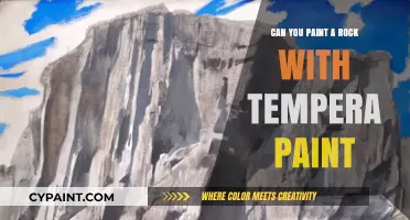 Unleashing Creativity: Tempera Paint on Rocks - A Fun DIY Guide