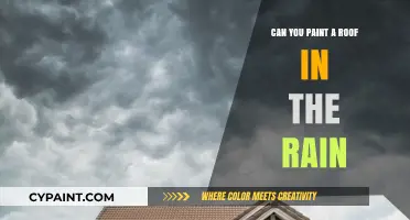 Painting a Roof in Rainy Weather: Tips and Tricks