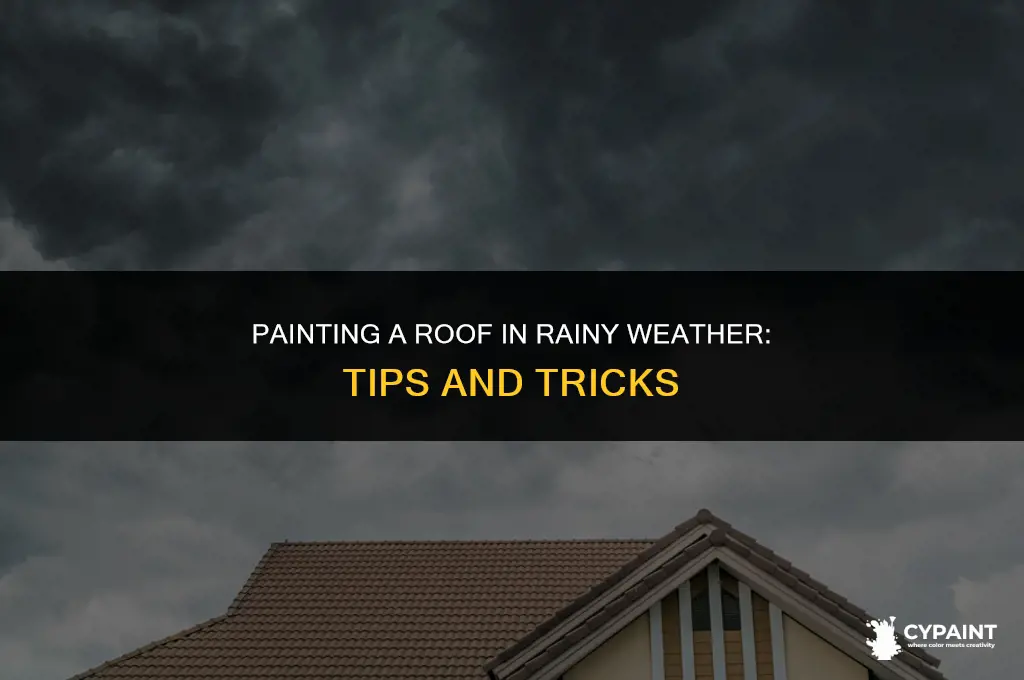 can you paint a roof in the rain