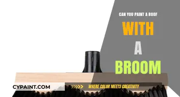 Innovative Roof Painting: The Surprising Use of a Broom