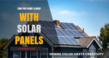Harnessing Solar Energy: Can You Paint a Roof with Solar Panels?