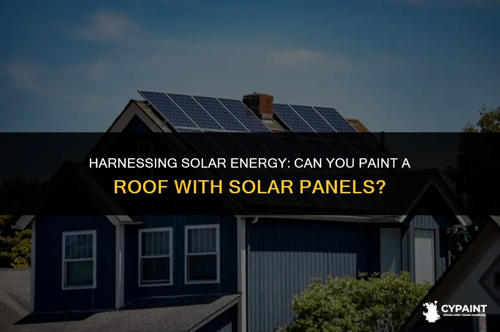 can you paint a roof with solar panels