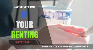 Revamping Your Rental: A Guide to Painting Without Trouble