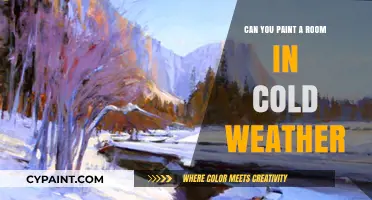 Chilly Renovations: Tips for Painting Rooms in Cold Weather