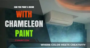 Transform Your Space: The Magic of Chameleon Paint