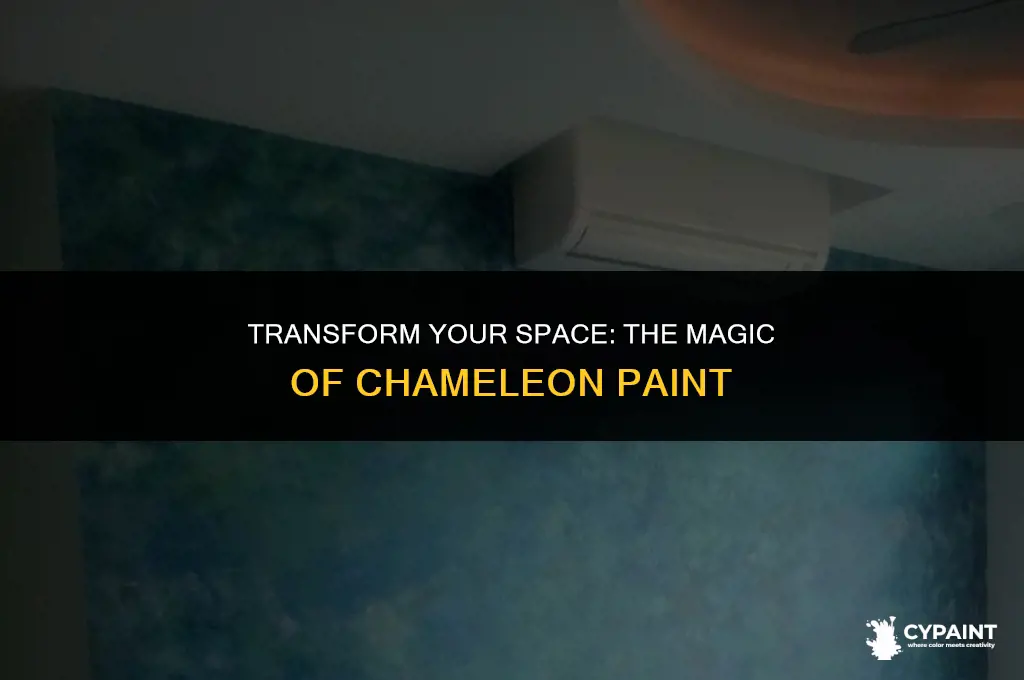 can you paint a room with chameleon paint