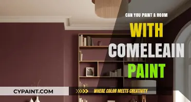 Revamp Your Space: The Complete Guide to Painting with Emulsion