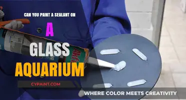 Painting Sealant on Glass Aquariums: A Creative DIY Project