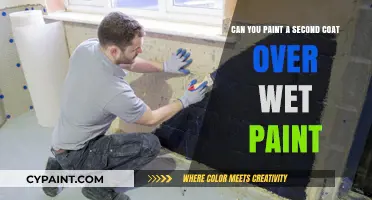 Wet-on-Wet Painting: Is It a Good Idea to Coat Twice?