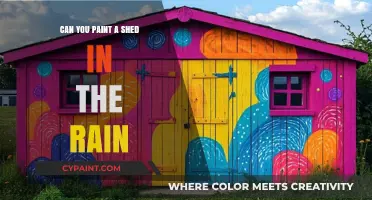 Painting a Shed in Rainy Weather: Tips and Tricks