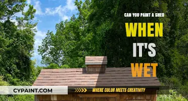 Wet Shed Painting: What You Need to Know