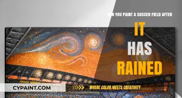 Painting a Soccer Field Post-Rain: Best Practices and Tips