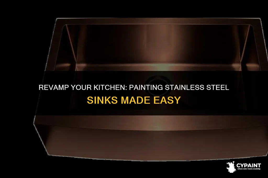 can you paint a stainless steel kitchen sink