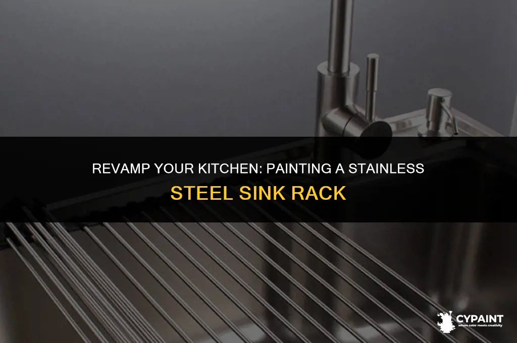 can you paint a stainless steel sink rack