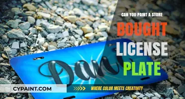 Revamping Your Ride: A Guide to Painting Store-Bought License Plates
