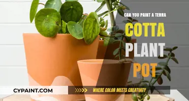 Reviving Terra Cotta: A Guide to Painting Your Plant Pots