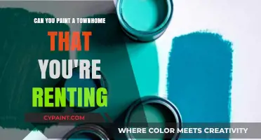 Transforming Rental Townhomes: Painting Possibilities