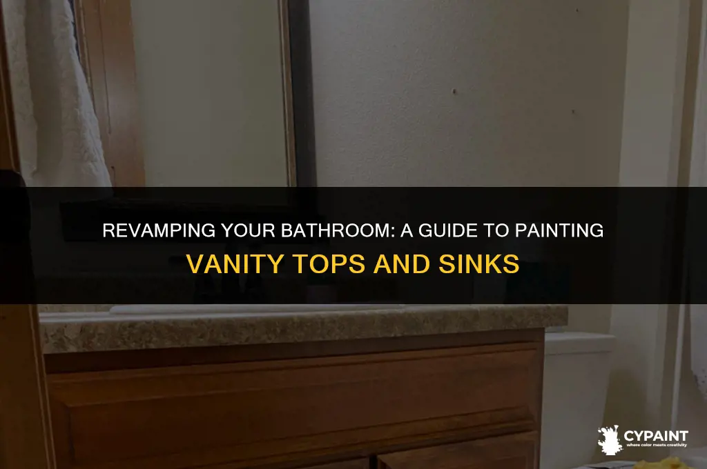 can you paint a vanity top and sink
