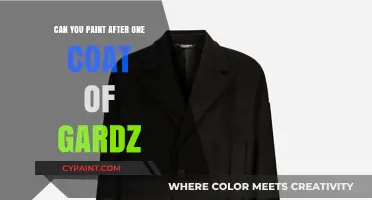 Unleashing Creativity: Painting Over Gardz in One Coat