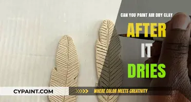 Air-Dry Clay: Paint After Drying?