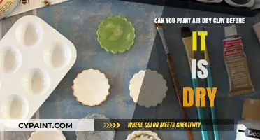 Painting Air Dry Clay: Tips for Coloring Before It Dries
