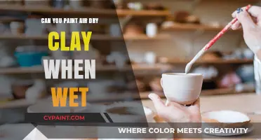 Exploring the Art of Painting Air-Dry Clay: Wet or Dry?