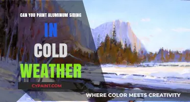 Painting Aluminum Siding in Cold Weather: Tips and Tricks