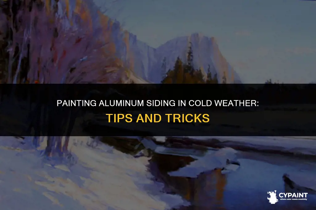 can you paint aluminum siding in cold weather