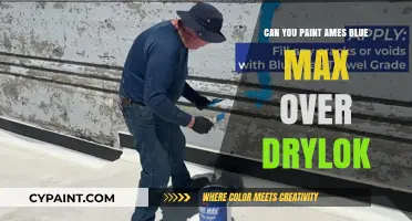 Revamping Basement Walls: Ames Blue Max Over Drylok?