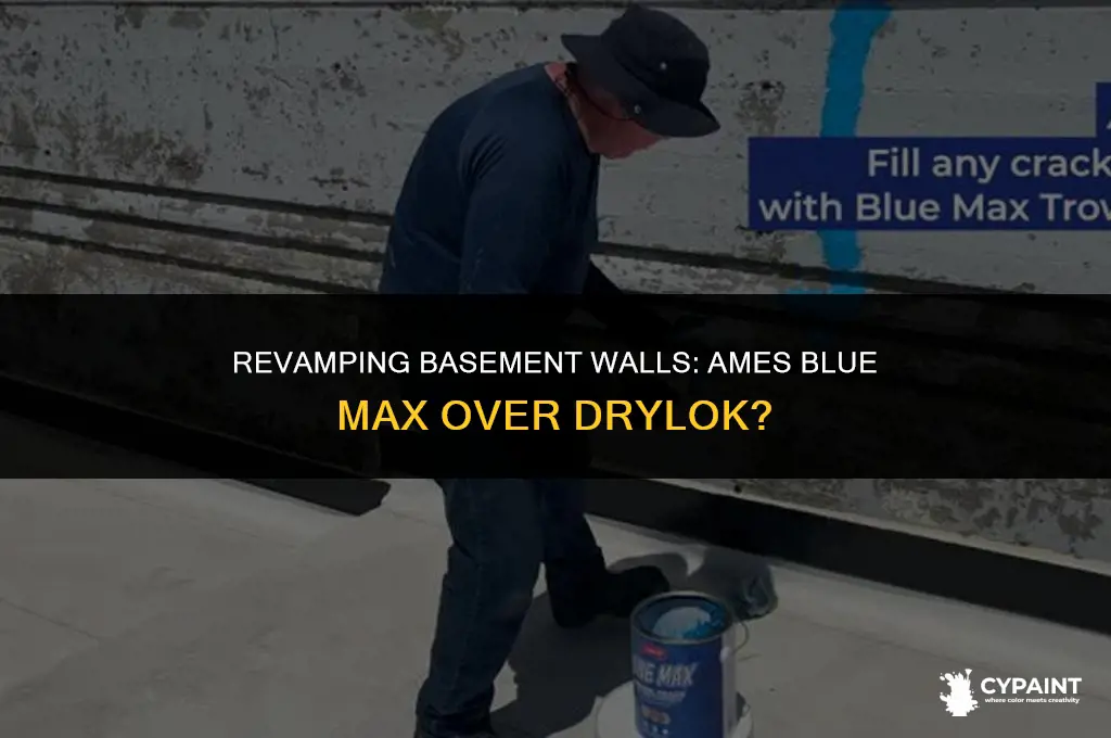 can you paint ames blue max over drylok