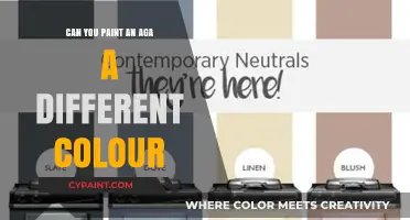 Revamping Your AGA: A Guide to Painting It a New Color