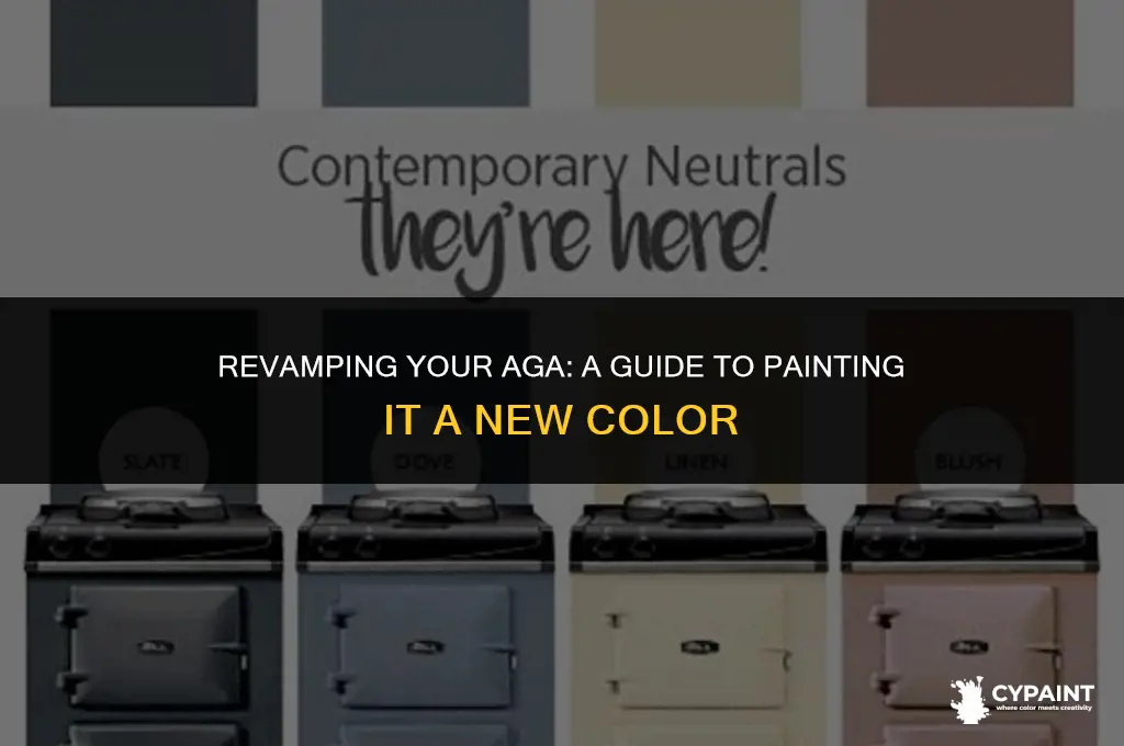 can you paint an aga a different colour