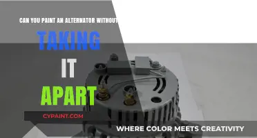 Alternator Painting: Can You Skip Disassembly?