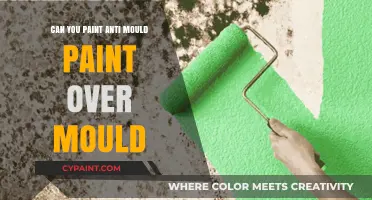 Conquering Mould: Can Anti-Mould Paint Be Applied Directly?