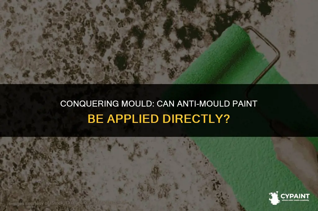 can you paint anti mould paint over mould