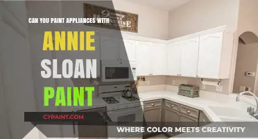 Revamp Your Appliances: The Annie Sloan Paint Transformation Guide